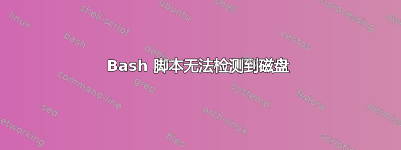 Bash 脚本无法检测到磁盘