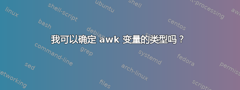 我可以确定 awk 变量的类型吗？