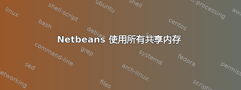 Netbeans 使用所有共享内存