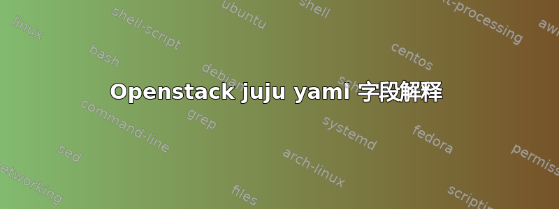 Openstack juju yaml 字段解释