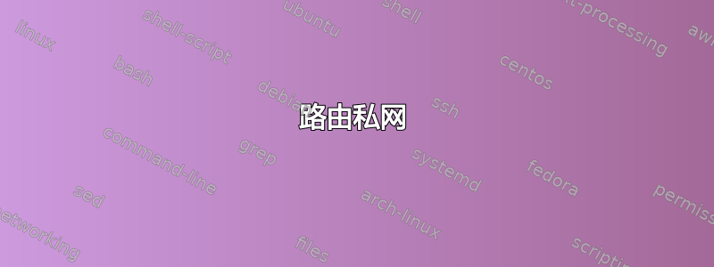 路由私网