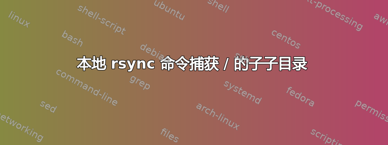 本地 rsync 命令捕获 / 的子子目录