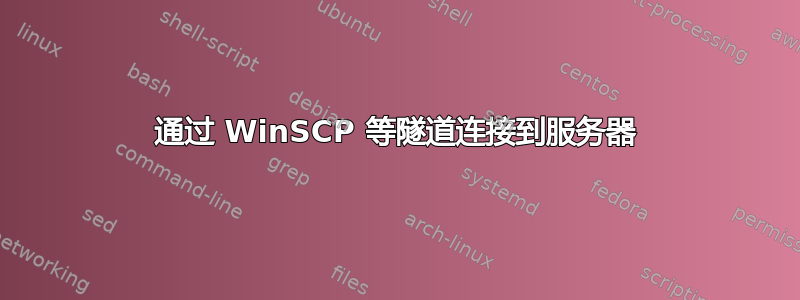 通过 WinSCP 等隧道连接到服务器