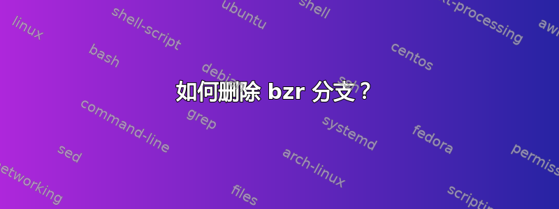 如何删除 bzr 分支？