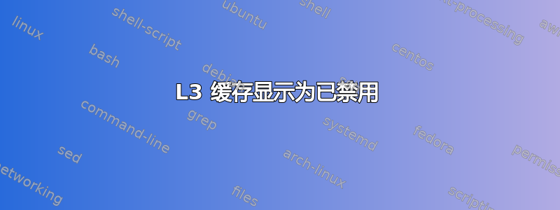 L3 缓存显示为已禁用