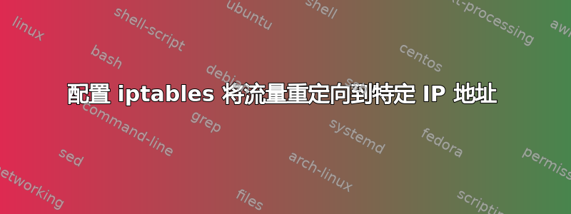 配置 iptables 将流量重定向到特定 IP 地址