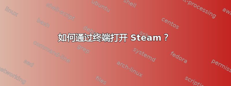 如何通过终端打开 Steam？