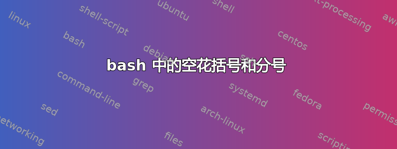 bash 中的空花括号和分号