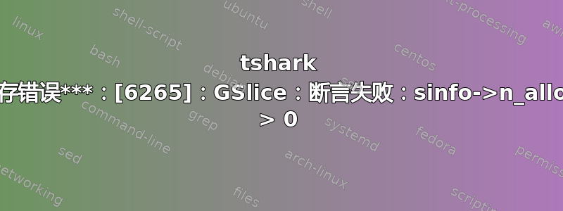 tshark ：***内存错误***：[6265]：GSlice：断言失败：sinfo->n_allocated > 0