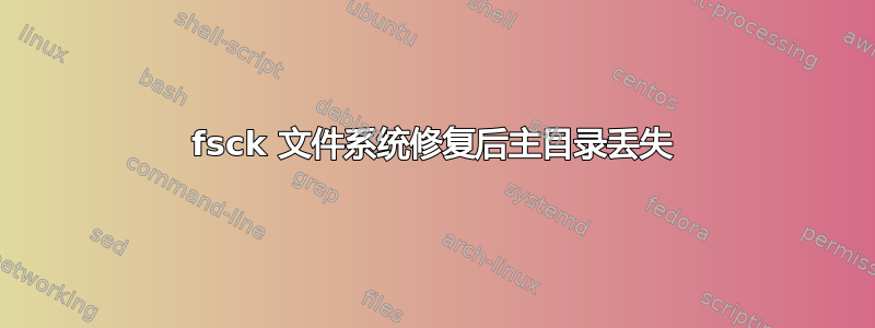 fsck 文件系统修复后主目录丢失