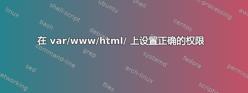 在 var/www/html/ 上设置正确的权限 