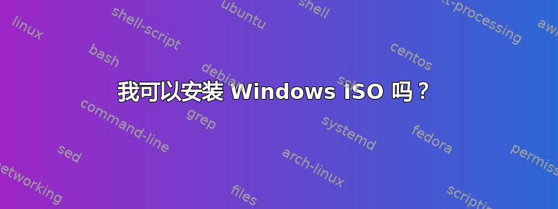 我可以安装 Windows ISO 吗？