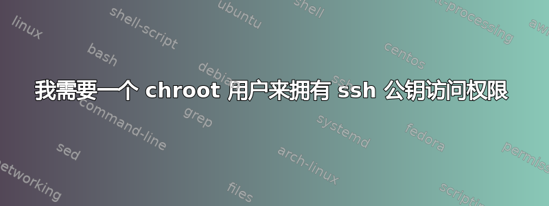 我需要一个 chroot 用户来拥有 ssh 公钥访问权限