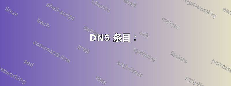 DNS 条目：