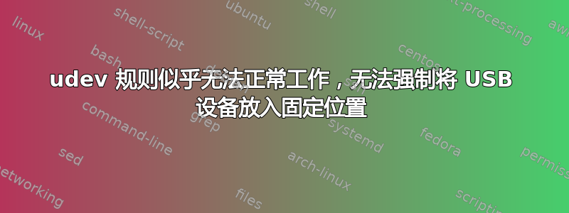 udev 规则似乎无法正常工作，无法强制将 USB 设备放入固定位置