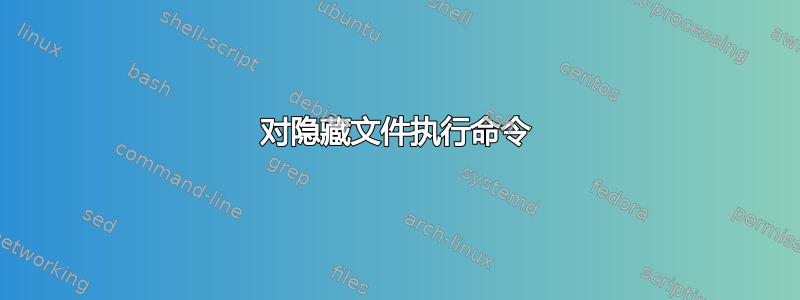 对隐藏文件执行命令