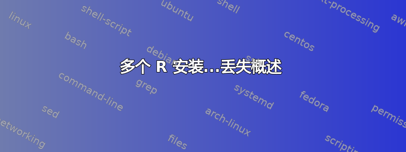 多个 R 安装...丢失概述