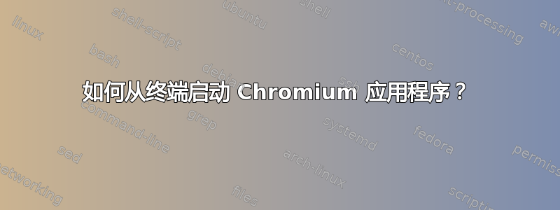 如何从终端启动 Chromium 应用程序？