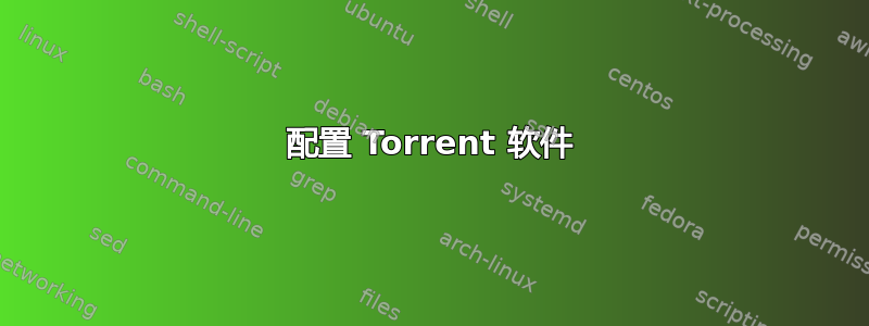 配置 Torrent 软件