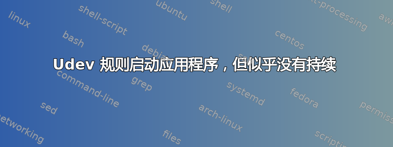 Udev 规则启动应用程序，但似乎没有持续