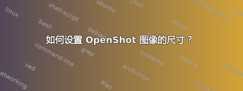 如何设置 OpenShot 图像的尺寸？