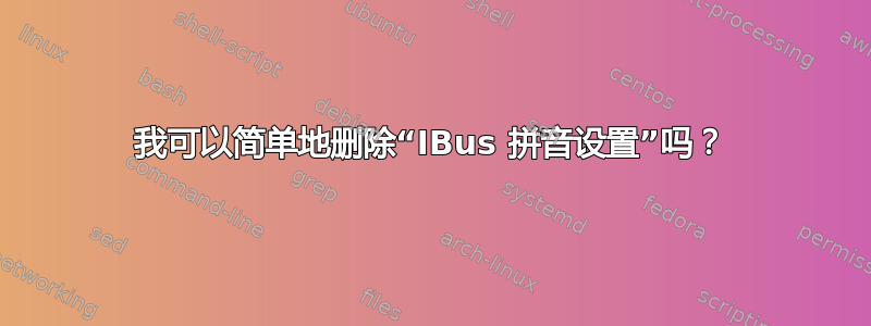 我可以简单地删除“IBus 拼音设置”吗？