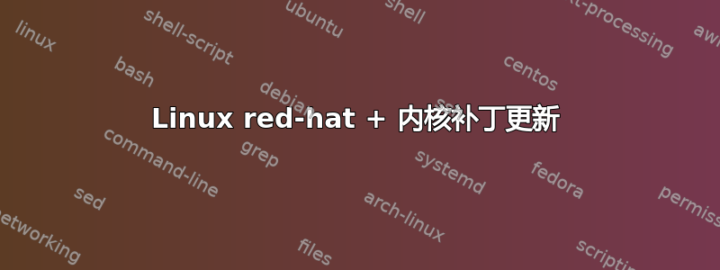 Linux red-hat + 内核补丁更新