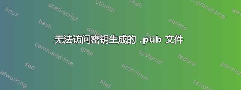 无法访问密钥生成的 .pub 文件