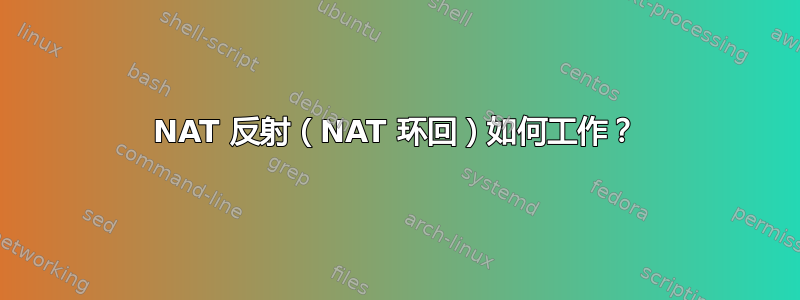 NAT 反射（NAT 环回）如何工作？