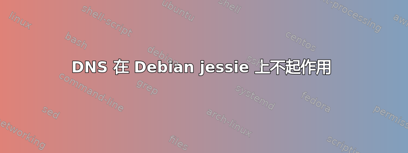 DNS 在 Debian jessie 上不起作用