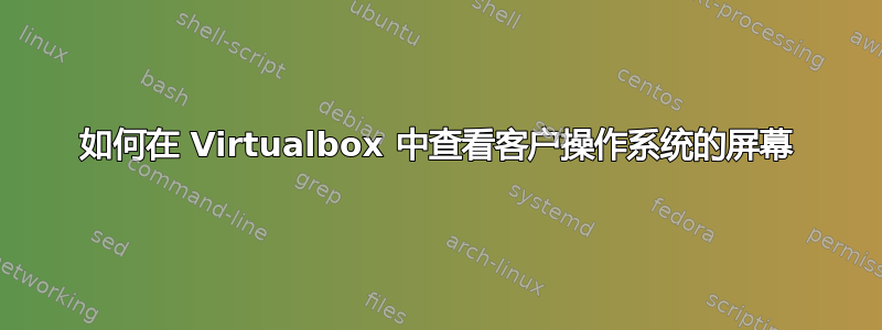 如何在 Virtualbox 中查看客户操作系统的屏幕