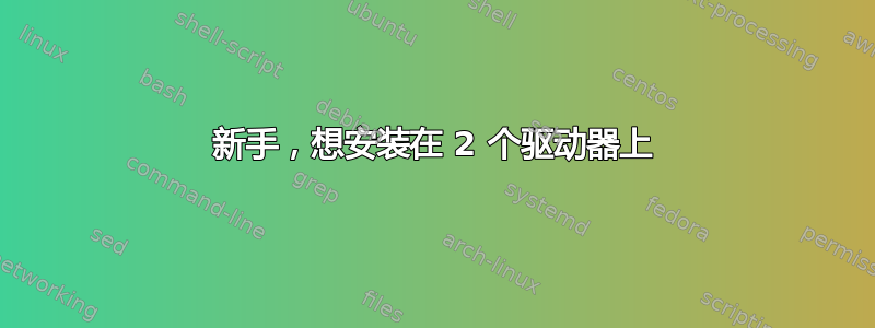 新手，想安装在 2 个驱动器上