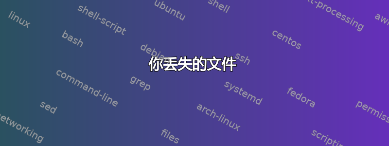 你丢失的文件