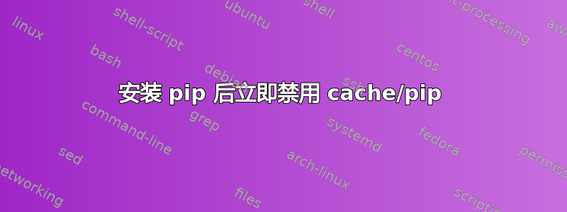 安装 pip 后立即禁用 cache/pip