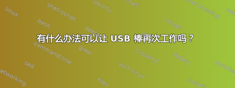 有什么办法可以让 USB 棒再次工作吗？