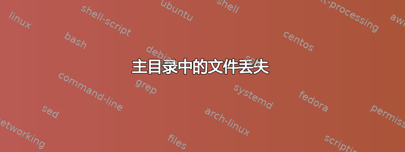 主目录中的文件丢失