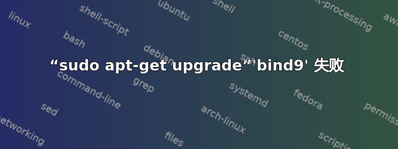 “sudo apt-get upgrade”'bind9' 失败