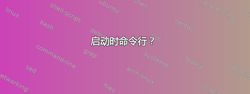 启动时命令行？