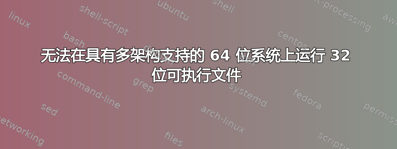 无法在具有多架构支持的 64 位系统上运行 32 位可执行文件