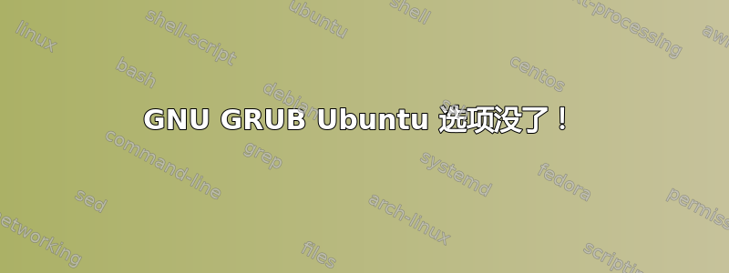 GNU GRUB Ubuntu 选项没了！