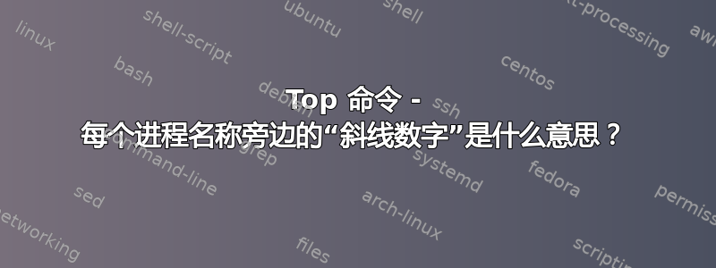 Top 命令 - 每个进程名称旁边的“斜线数字”是什么意思？