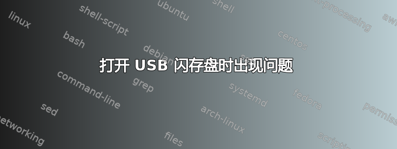 打开 USB 闪存盘时出现问题