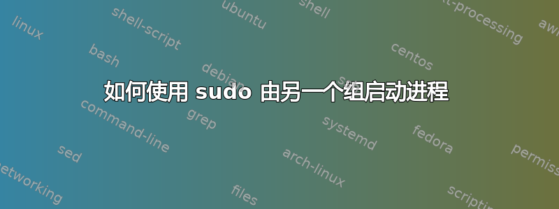 如何使用 sudo 由另一个组启动进程