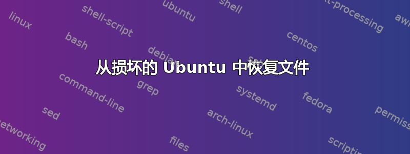 从损坏的 Ubuntu 中恢复文件