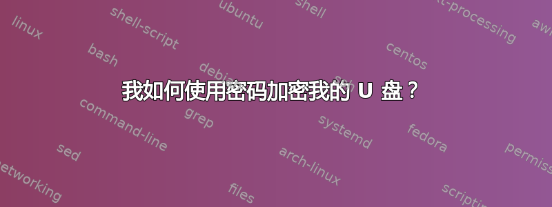 我如何使用密码加密我的 U 盘？