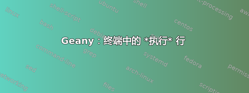 Geany：终端中的 *执行* 行