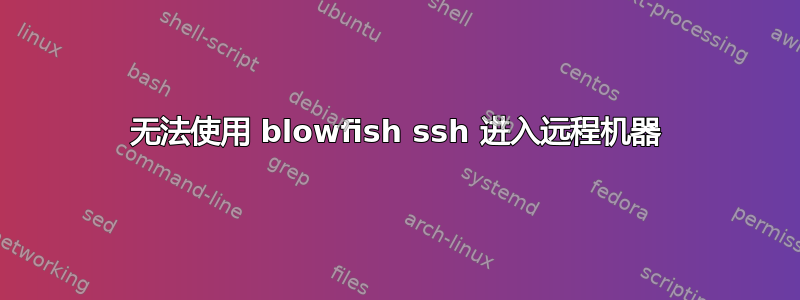 无法使用 blowfish ssh 进入远程机器