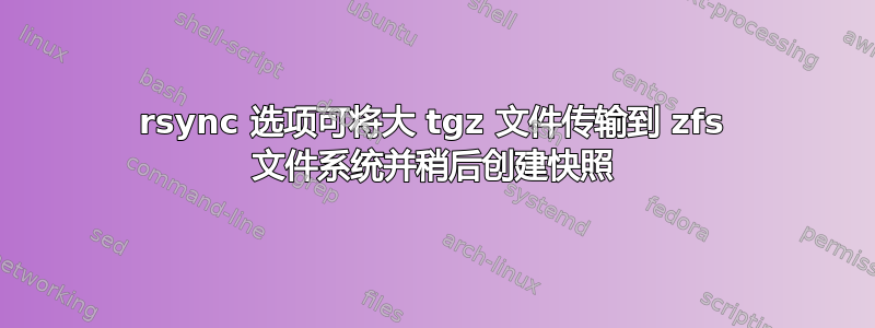 rsync 选项可将大 tgz 文件传输到 zfs 文件系统并稍后创建快照