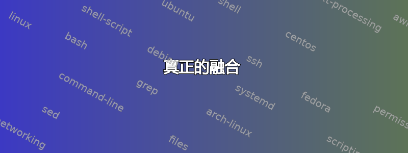 真正的融合