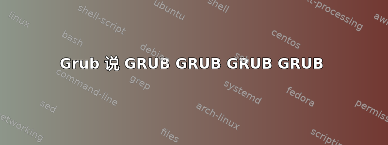 Grub 说 GRUB GRUB GRUB GRUB